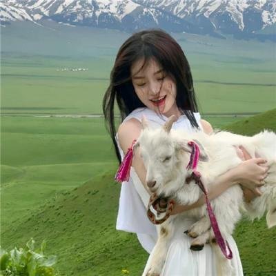 新欢乐满堂
